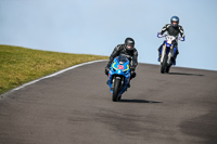 PJ-Motorsport-2019;anglesey-no-limits-trackday;anglesey-photographs;anglesey-trackday-photographs;enduro-digital-images;event-digital-images;eventdigitalimages;no-limits-trackdays;peter-wileman-photography;racing-digital-images;trac-mon;trackday-digital-images;trackday-photos;ty-croes
